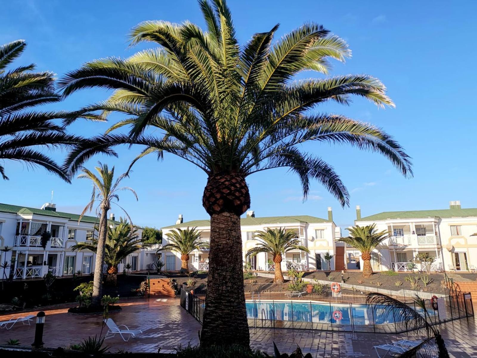 Piccola Oasi Appartement Corralejo Kamer foto